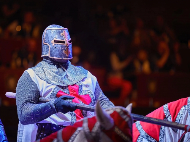 Medieval Show
