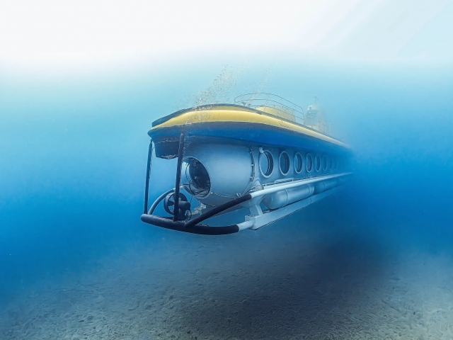 Submarine Safaris