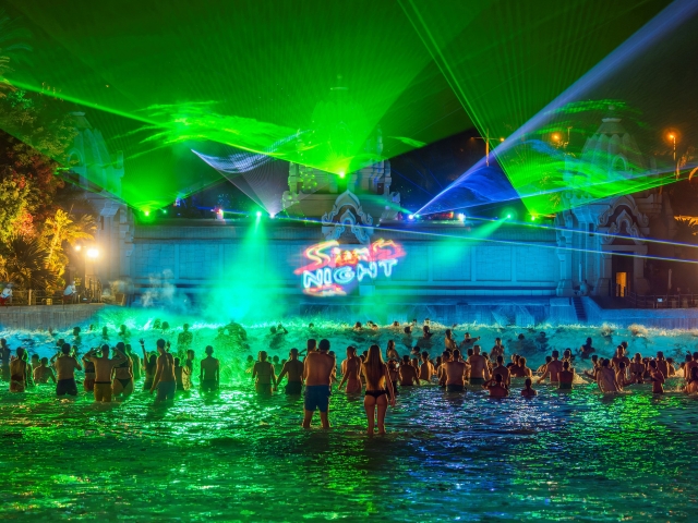 Siam Night