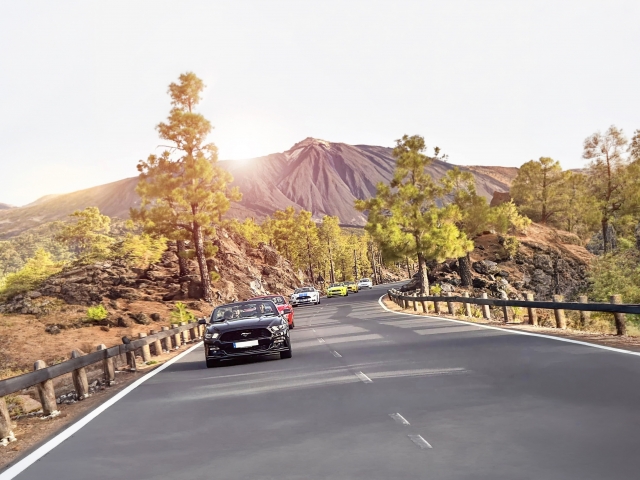 Mustang | Teide Tour