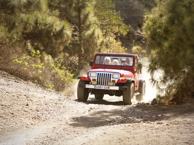 Jeep Wrangler | Teide Tour