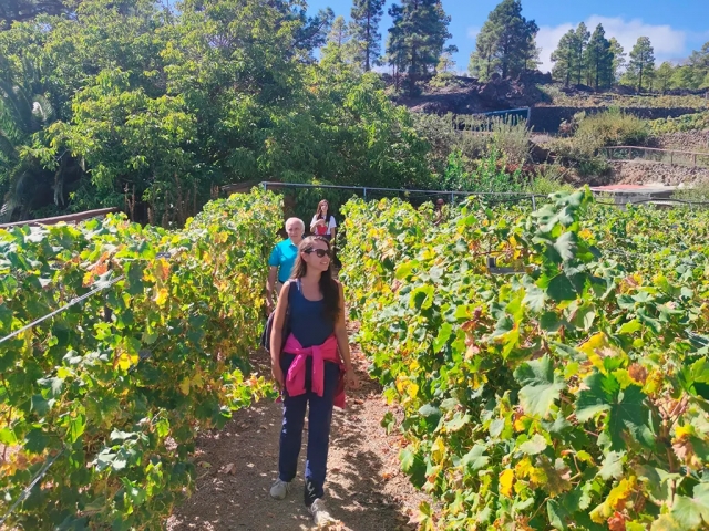 Bodegas Ferrera